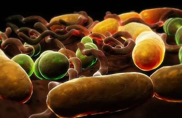 Applications du choc thermique dans la production de protéines thérapeutiques : principes et stratégies avancées